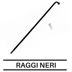 Raggi Neri