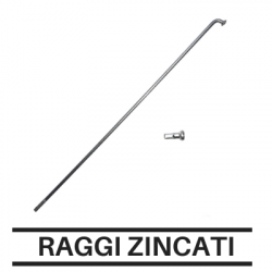 Raggi Zincati