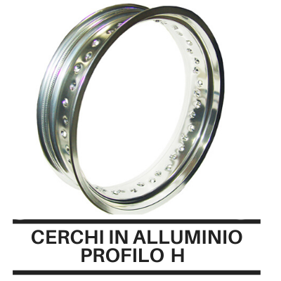 Cerchi In Alluminio Profilo Record